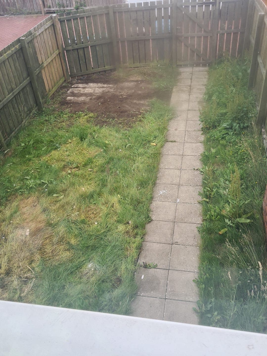 Same garden, cleared and swept